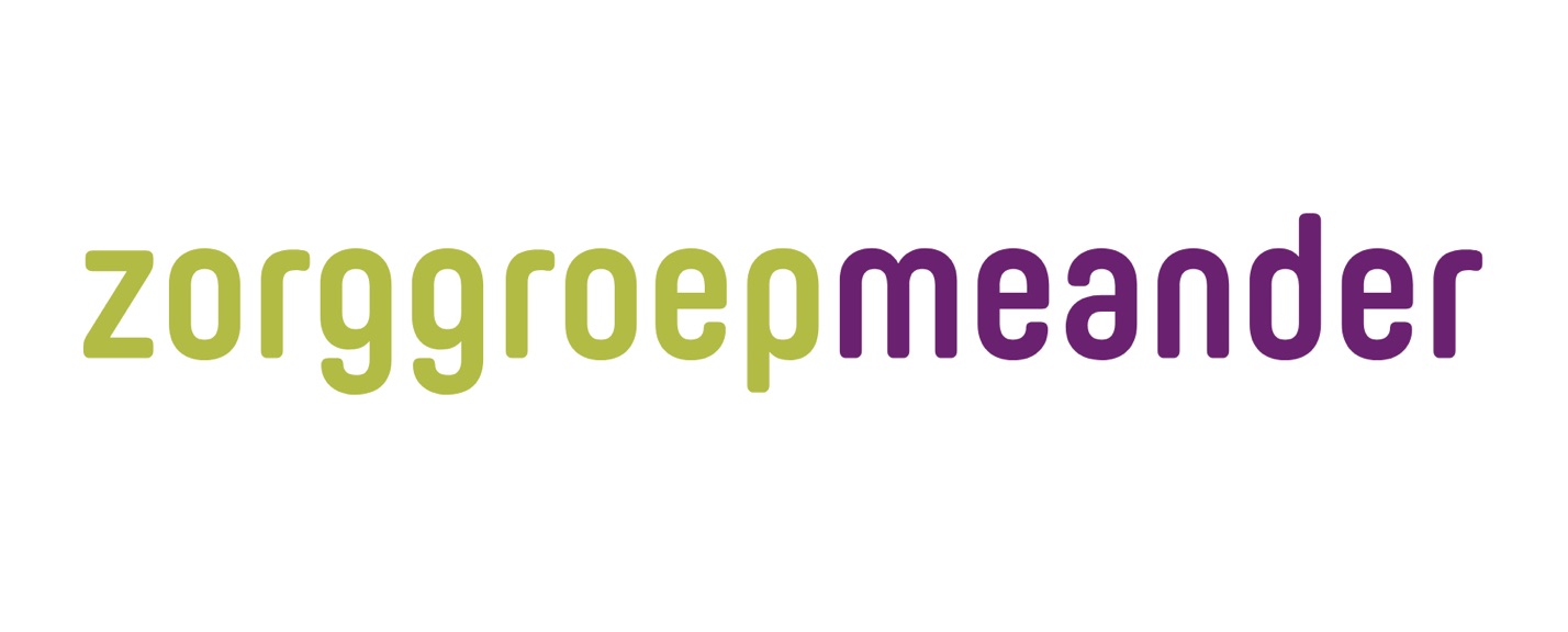 Logo de positioneringscase van Meander